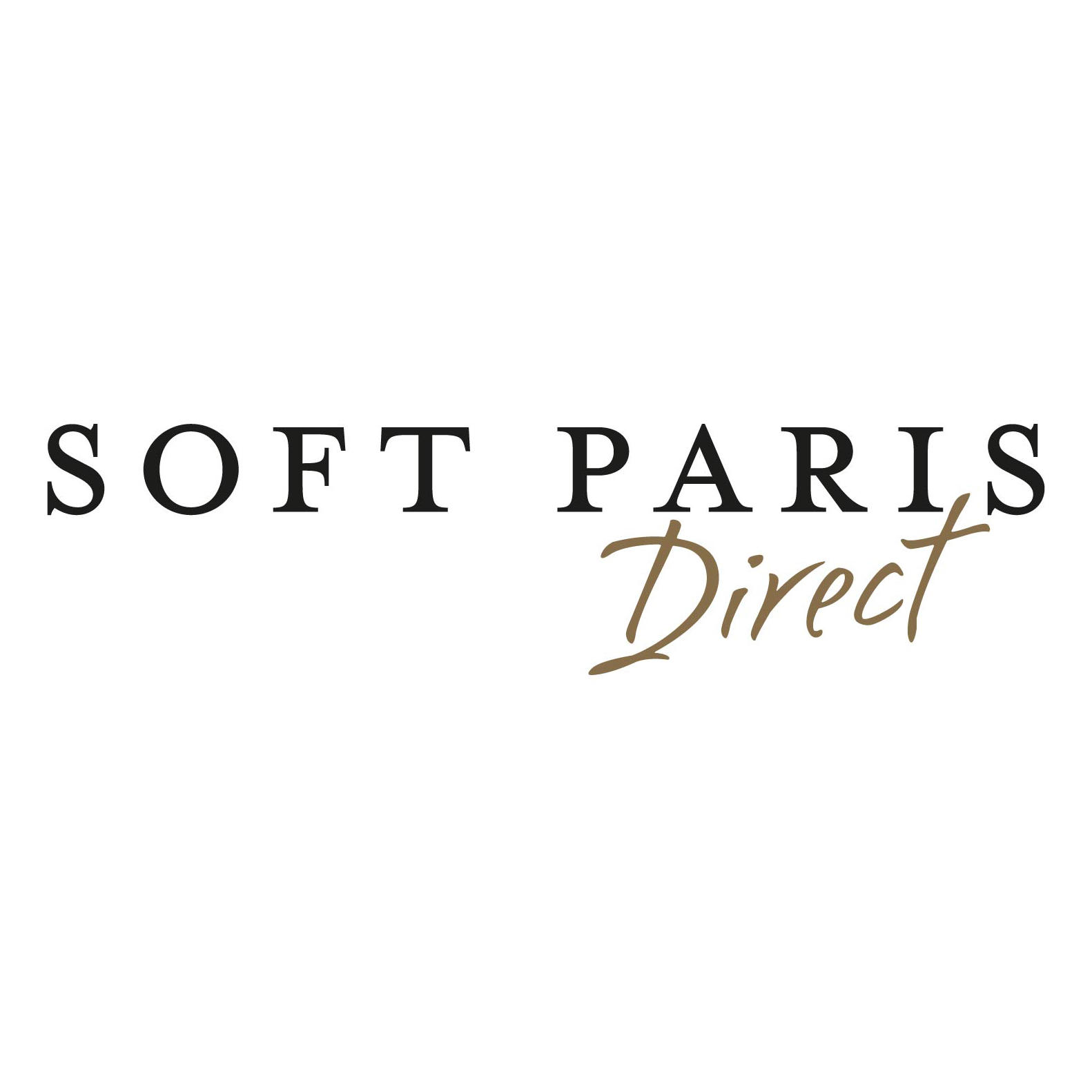 Soft Paris VDI Emilie DOLINO conseillère manager soft paris , Isère, bièvre, pays voironnais, grenoble
