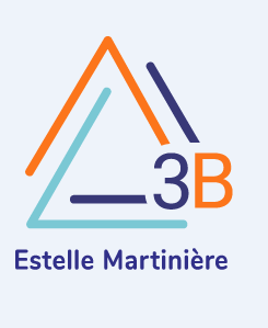 logo 3b estelle martiniere acceve